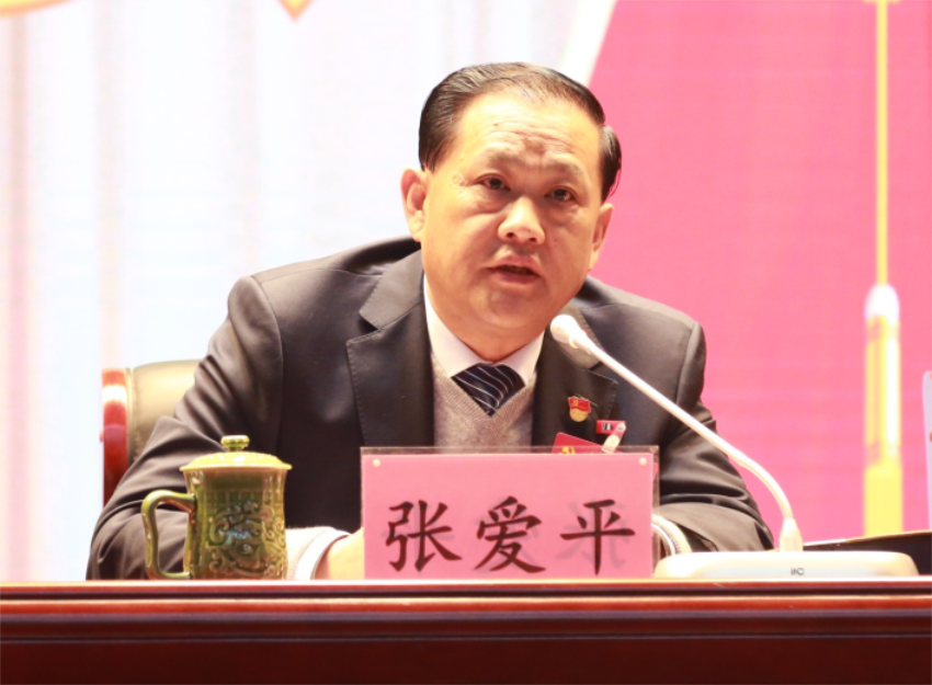张爱平同志宣读中共乐鱼·（中国区）体育官方网站-Leyu Sports
第一届党委成员分工及纪委成员分工